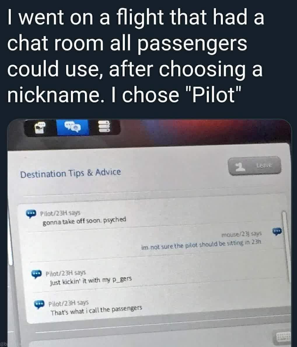 went on a flight that had a chat room all passengers could use after choosing a nickname chose Pilot o
