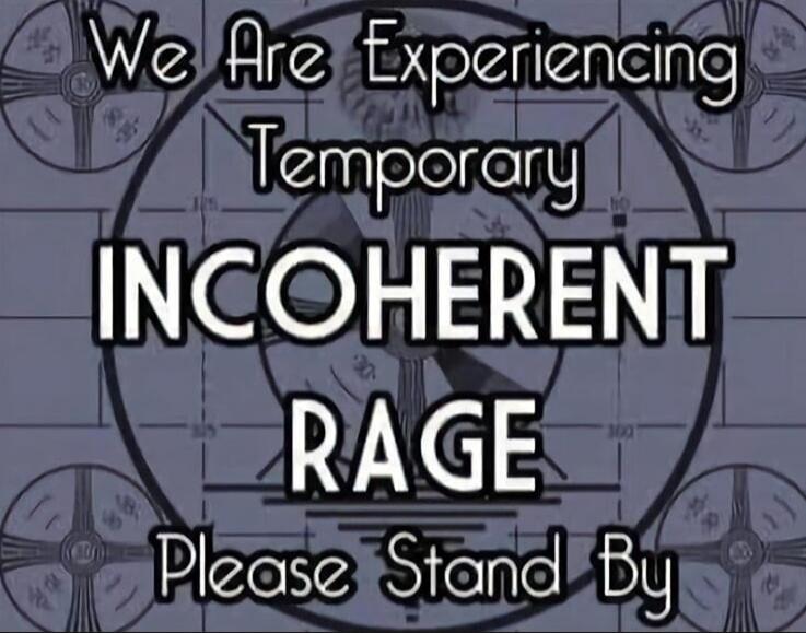 We Are Experiencing Temporary INCOHERENT RAGE Please Stand By
