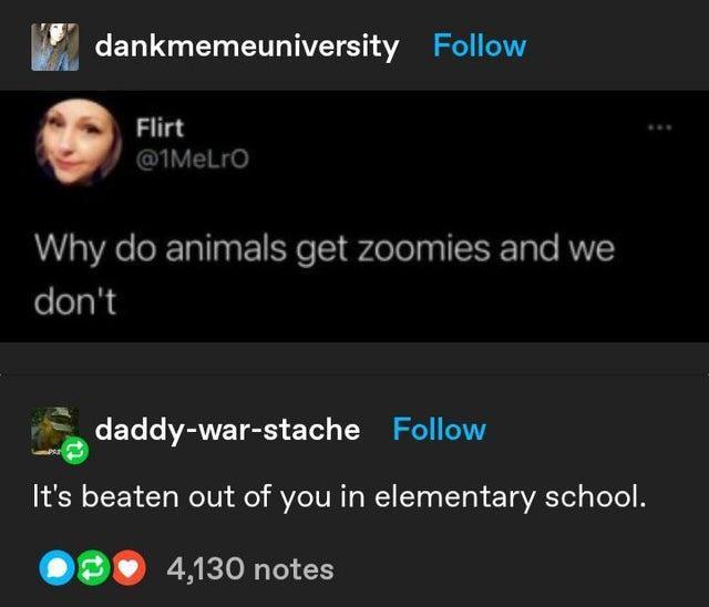 W dankmemeuniversity Follow Flirt M Why do animals get zoomies and we dont daddy war stache Follow Its beaten out of you in elementary school 8 4130 notes