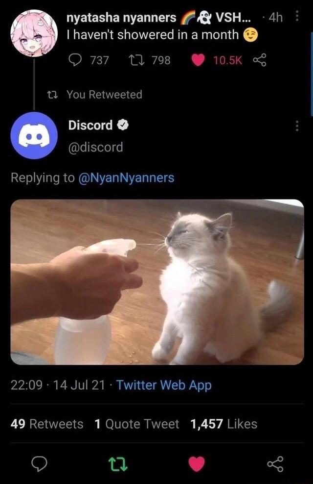 nyatasha nyanners VSH 4h I havent showered in a month 737 11798 W 105K 5 1 You Retweeted Discord QL RE LI RCR QIR LRSS b0 R PN T B B T TR T 49 Retweets 1 Quote Tweet 1457 Likes Q Q L 4 3
