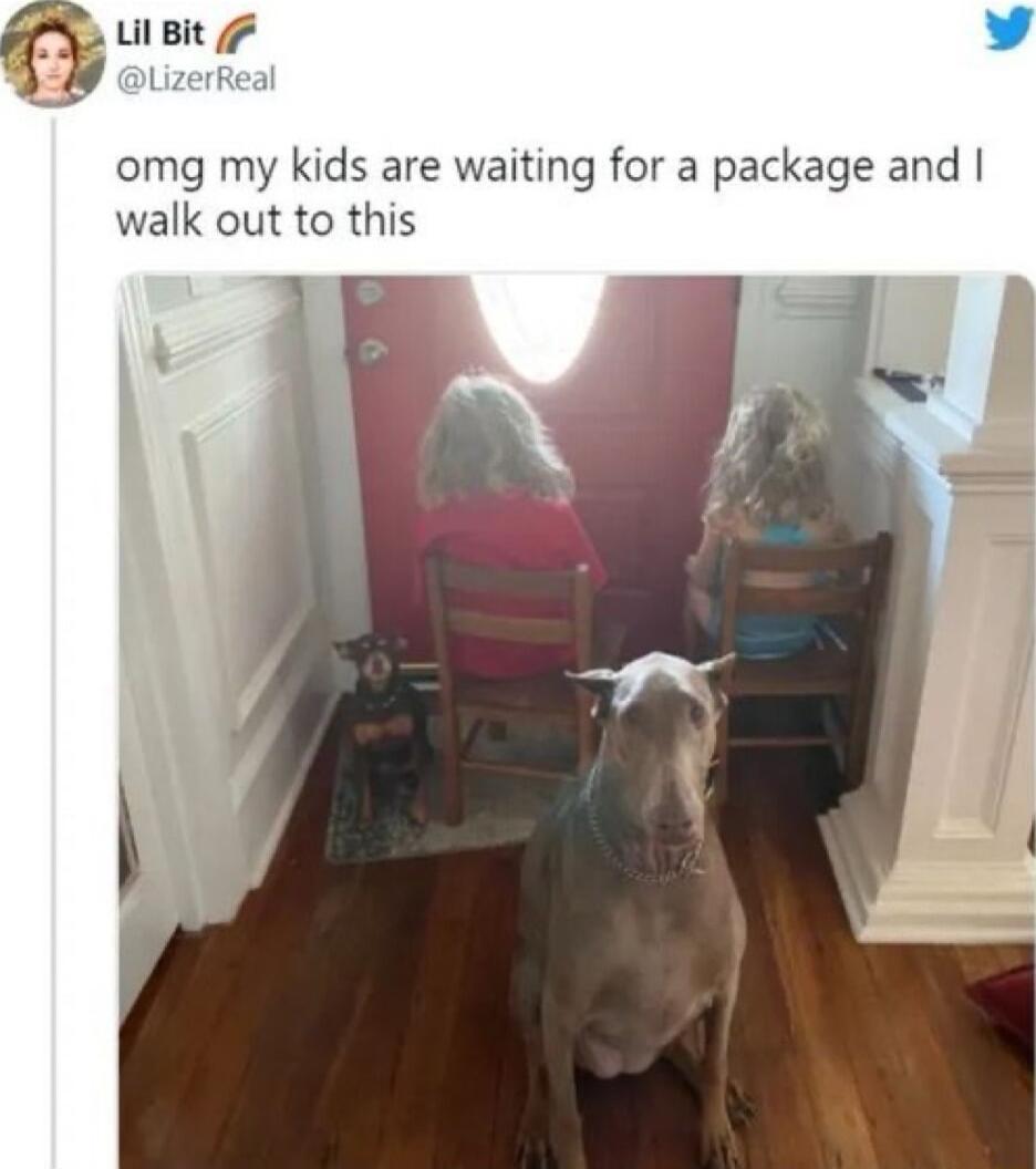 Lil Bit L omg my kids are waiting for a package and walk out to this B