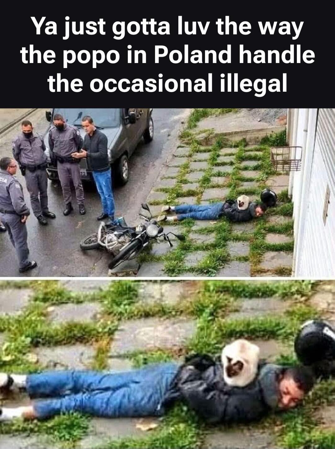 Ya just gotta luv the way the popo in Poland handle the occasional illegal