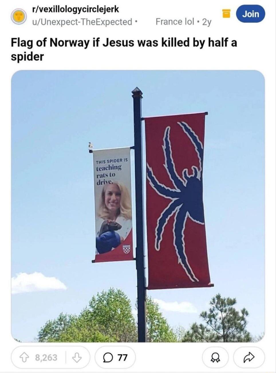 rvexlliulugycimlajerk uUnexpect TheExpected France lol 2y Flag of Norway if Jesus was killed by half a spider