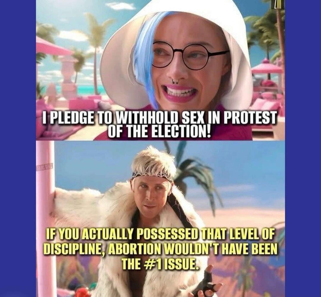 I PLEDGE TO WITHHOLD SEX IN PROTEST OF THE ELECTION!
IF YOU ACTUALLY POSSESSED THAT LEVEL OF DISCIPLINE, ABORTION WOULDN'T HAVE BEEN THE #1 ISSUE.