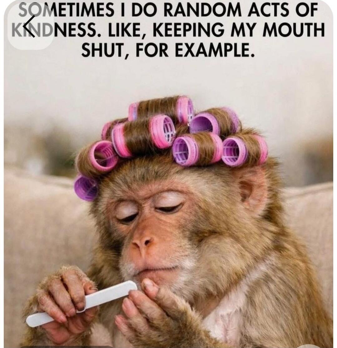 SOMETIMES I DO RANDOM ACTS OF KINDNESS. LIKE, KEEPING MY MOUTH SHUT, FOR EXAMPLE.
