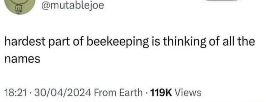 G mutablejoe hardest part of beekeeping is thinking of all the names 1821 30042024 From Earth 119K Views