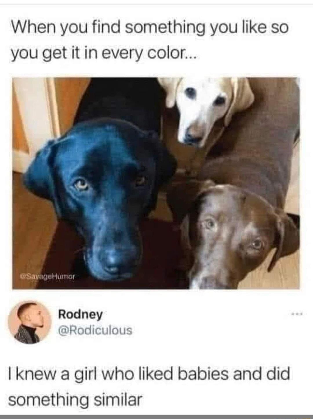 When you find something you like so you get it in every color Rodney Rodiculous knew a girl who liked babies and did something similar
