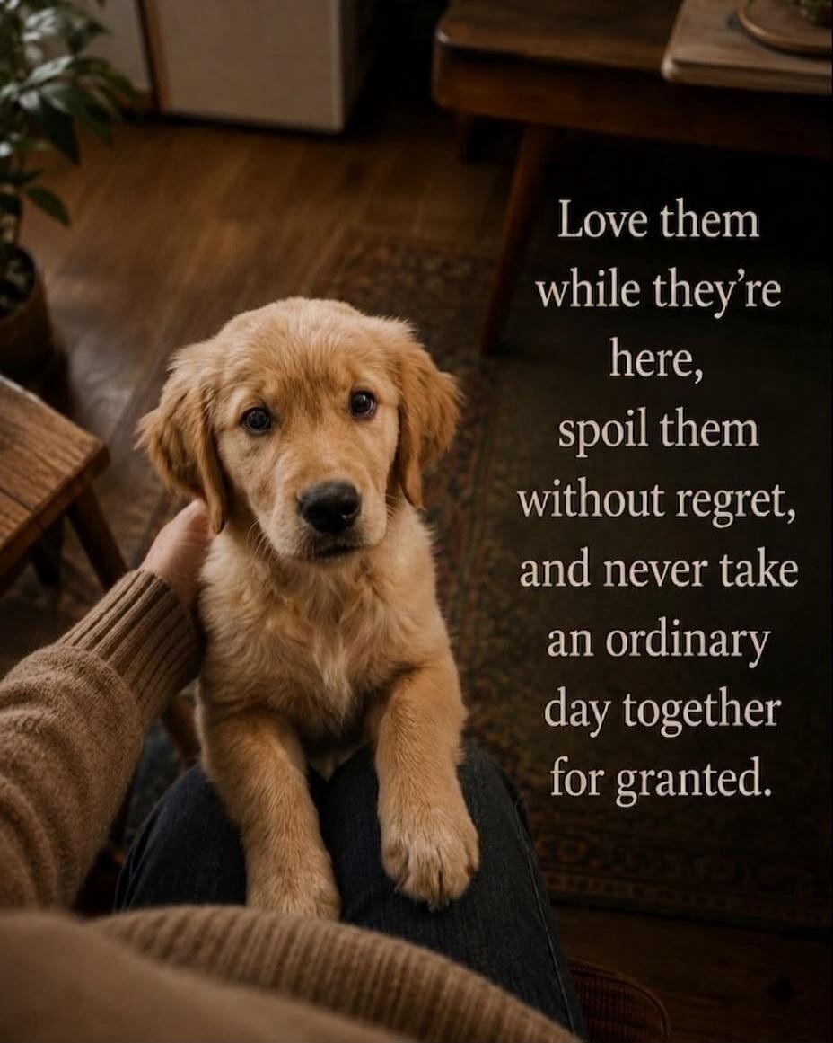 Love them while they're here, spoil them without regret, and never take an ordinary day together for granted.