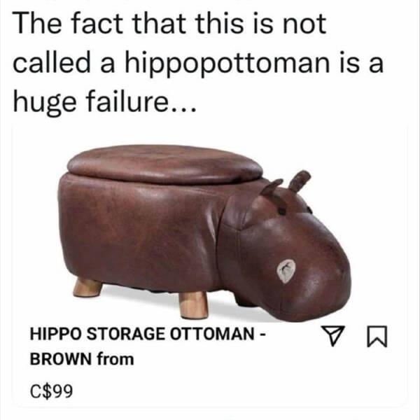 The fact that this is not called a hippopottoman is a huge failure HIPPO STORAGE OTTOMAN v N BROWN from Cc99