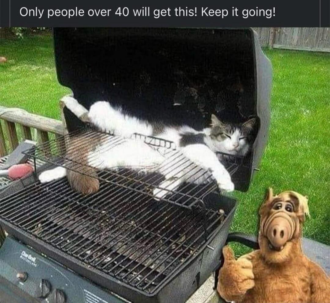 Only people over 40 will get this! Keep it going! A cat is sleeping inside a BBQ grill, and ALF is giving a thumbs up next to it.