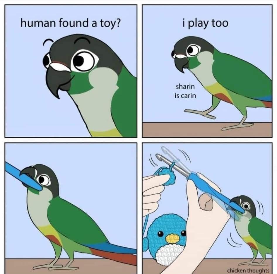 human found a toy iplay too sharin s carin