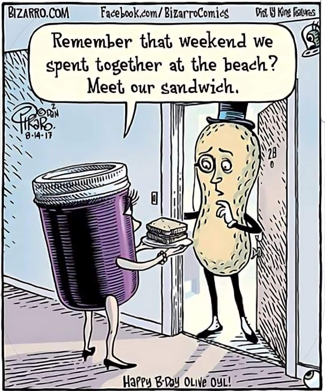 BIZARROCOM FacebookcomBizarroComic Vis Y King fowes Remember that weekend we g pent together at the beach Meet our gandwich