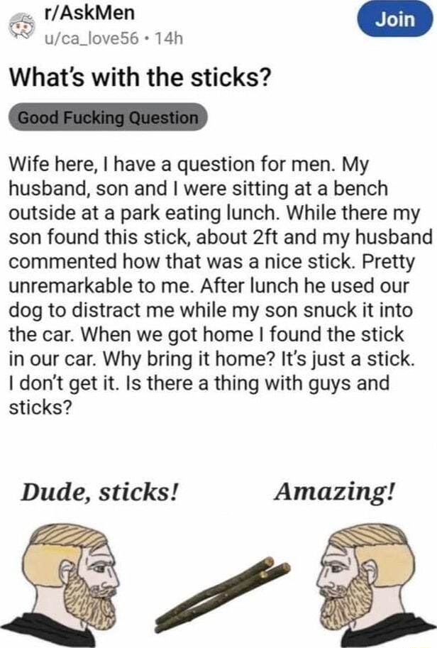 rAskMen 5 Join uca_love56 14h Whats with the sticks Wife here have a question for men My husband son and were sitting at a bench outside at a park eating lunch While there my son found this stick about 2ft and my husband commented how that was a nice stick Pretty unremarkable to me After lunch he used our dog to distract me while my son snuck it into the car When we got home found the stick in our