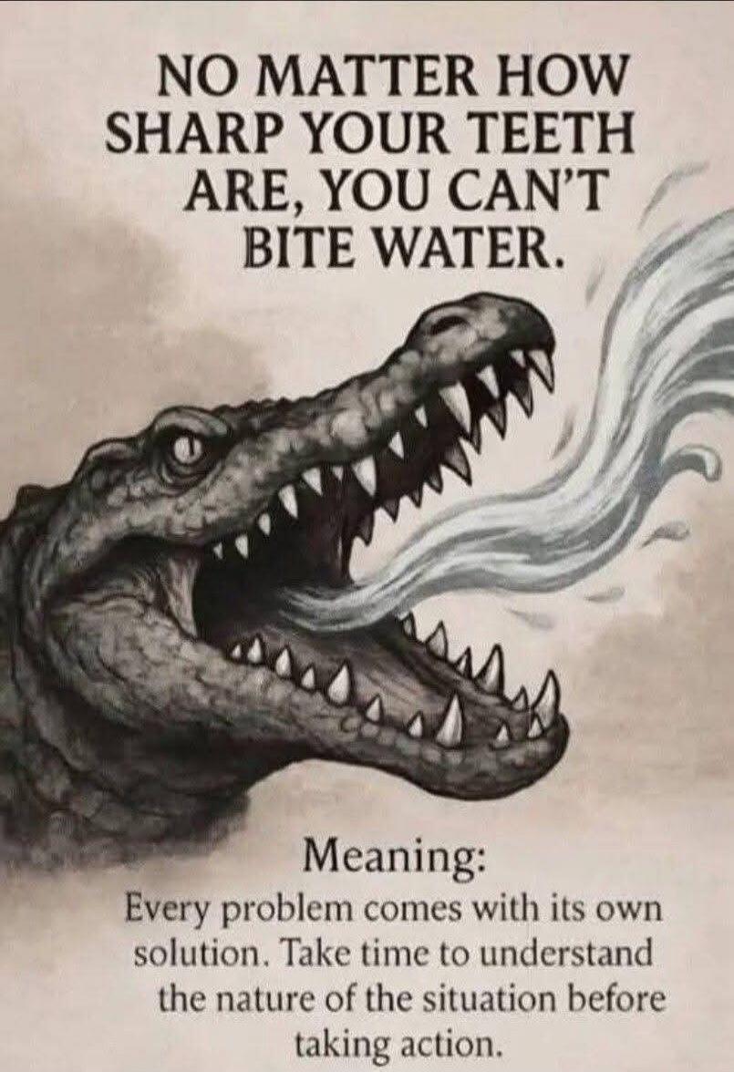 NO MATTER HOW SHARP YOUR TEETH ARE, YOU CAN'T BITE WATER.
Meaning: Every problem comes with its own solution. Take time to understand the nature of the situation before taking action.