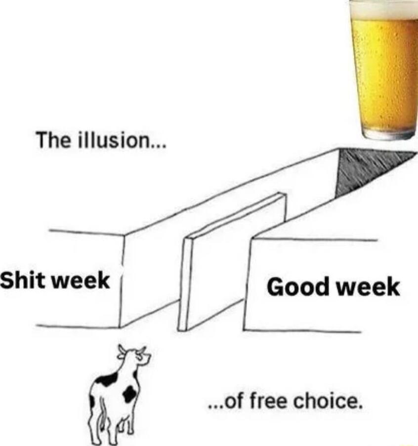 The illusion Shit week Good week T l of free choice