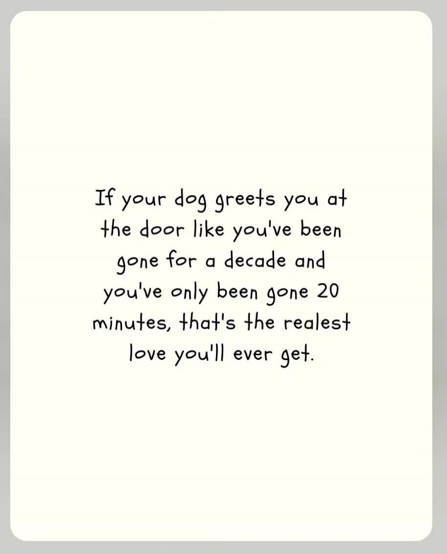 If your dog greets you at the door like you've been gone for a decade and you've only been gone 20 minutes, that's the realest love you'll ever get.
