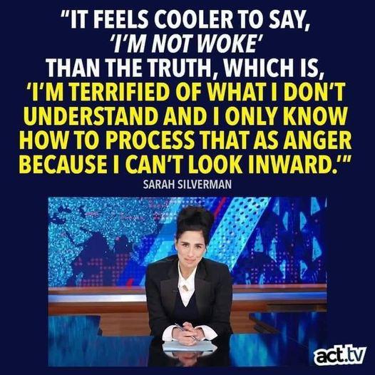 IT FEELS COOLER TO SAY IM NOT WOKE THAN THE TRUTH WHICH IS IM TERRIFIED OF WHAT DONT UNDERSTAND AND ONLY KNOW HOW TO PROCESS THAT AS ANGER BECAUSE CANT LOOK INWARD SARAH SILVERMAN