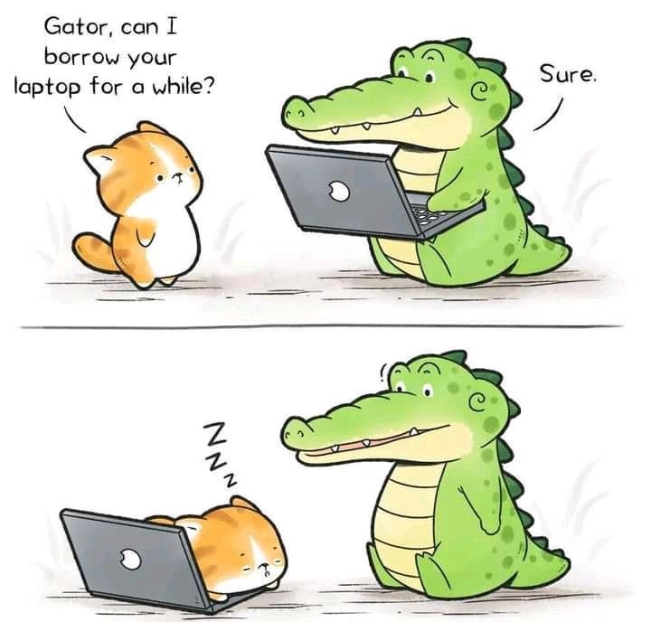 Gator can I borrow your laptop for a while