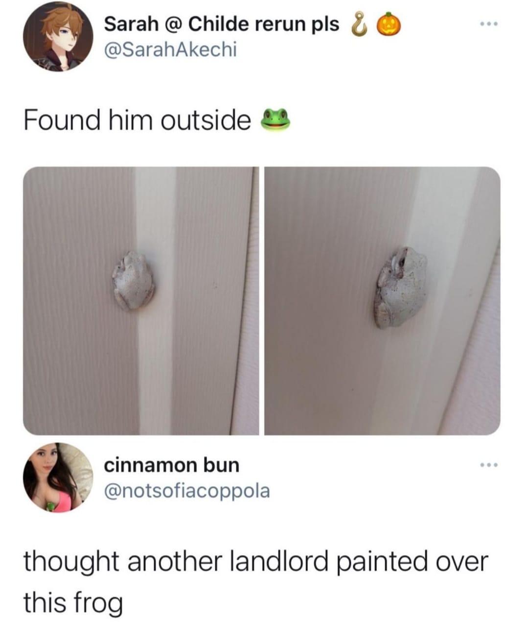 Sarah Childe rerunpls b SarahAkechi Found him outside cinnamon bun notsofiacoppola thought another landlord painted over this frog