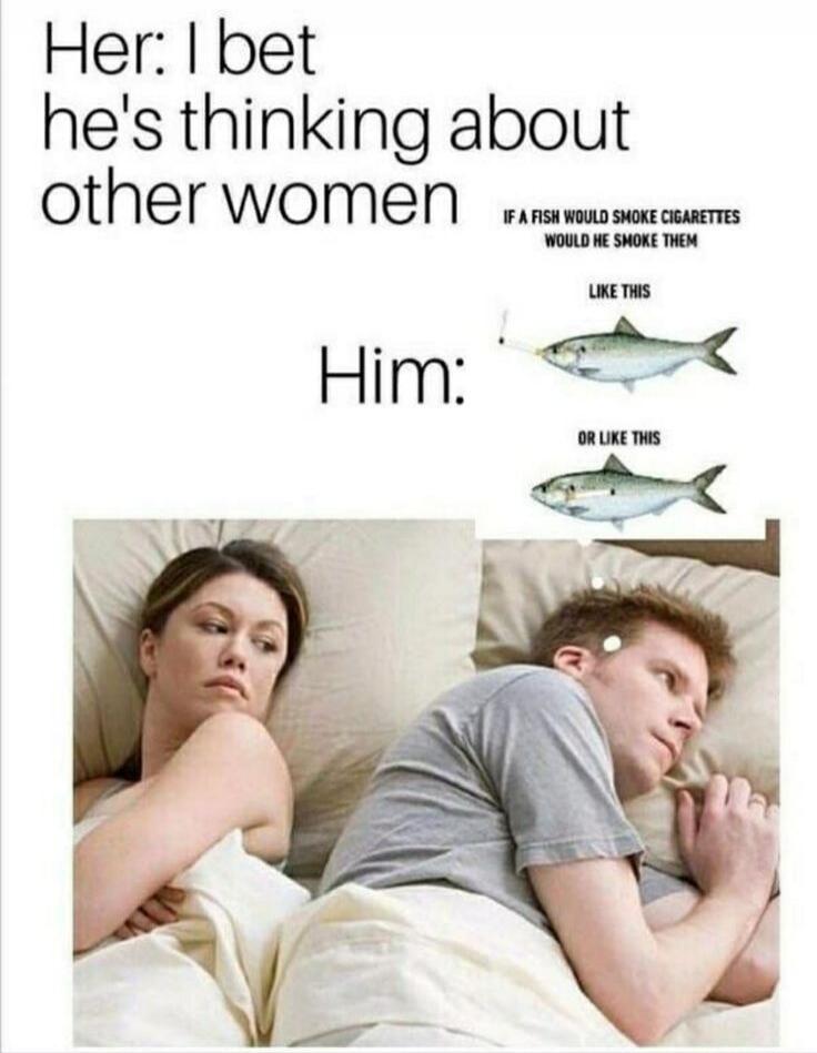 Her: I bet he's thinking about other women
Him:
IF A FISH WOULD SMOKE CIGARETTES WOULD HE SMOKE THEM
LIKE THIS
OR LIKE THIS