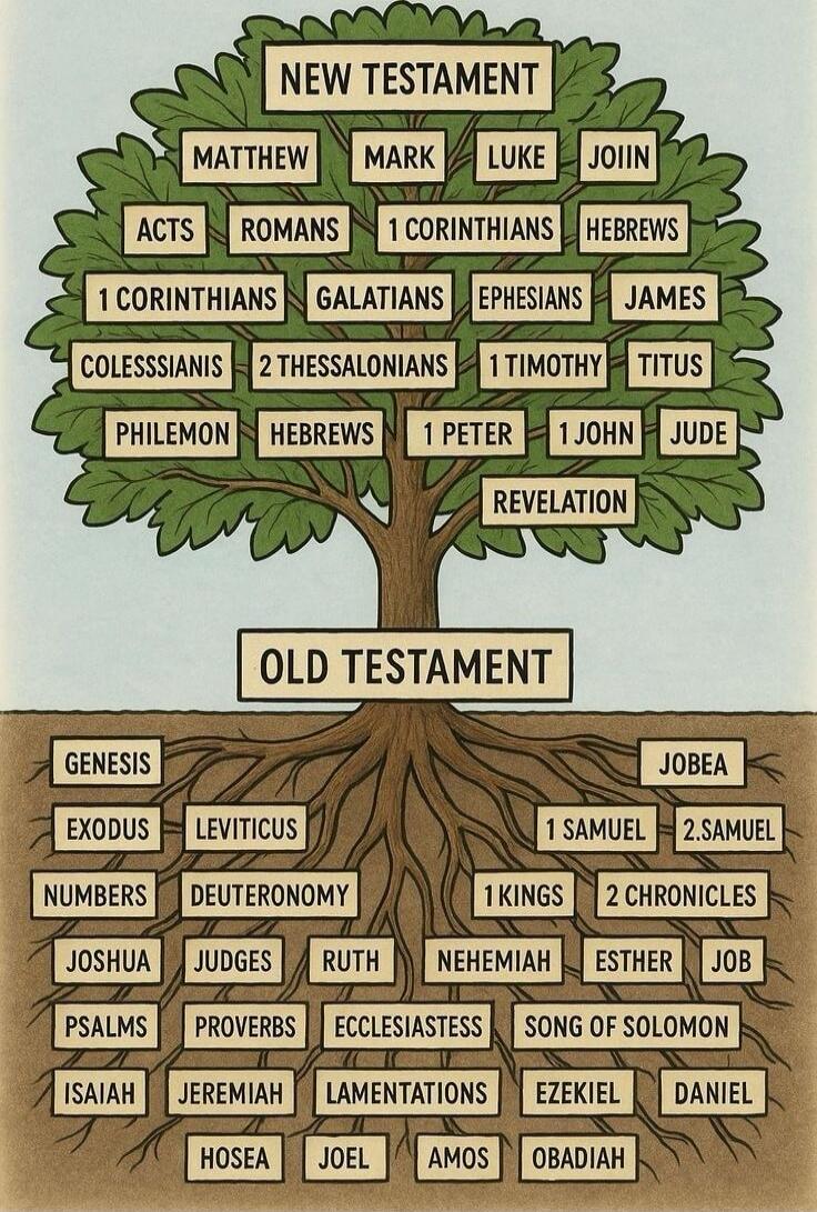 New Testament
Matthew
Mark
Luke
John
Acts
Romans
1 Corinthians
2 Corinthians
Galatians
Ephesians
Philippians
Colossians
1 Thessalonians
2 Thessalonians
1 Timothy
2 Timothy
Titus
Philemon
Hebrews
James
1 Peter
2 Peter
1 John
2 John
3 John
Jude
Revelation

Old Testament
Genesis
Exodus
Leviticus
Numbers
Deuteronomy
Joshua
Judges
Ruth
1 Samuel
2 Samuel