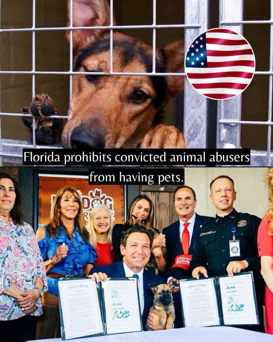 Florida prohibits convicted animal abusers from having pets.