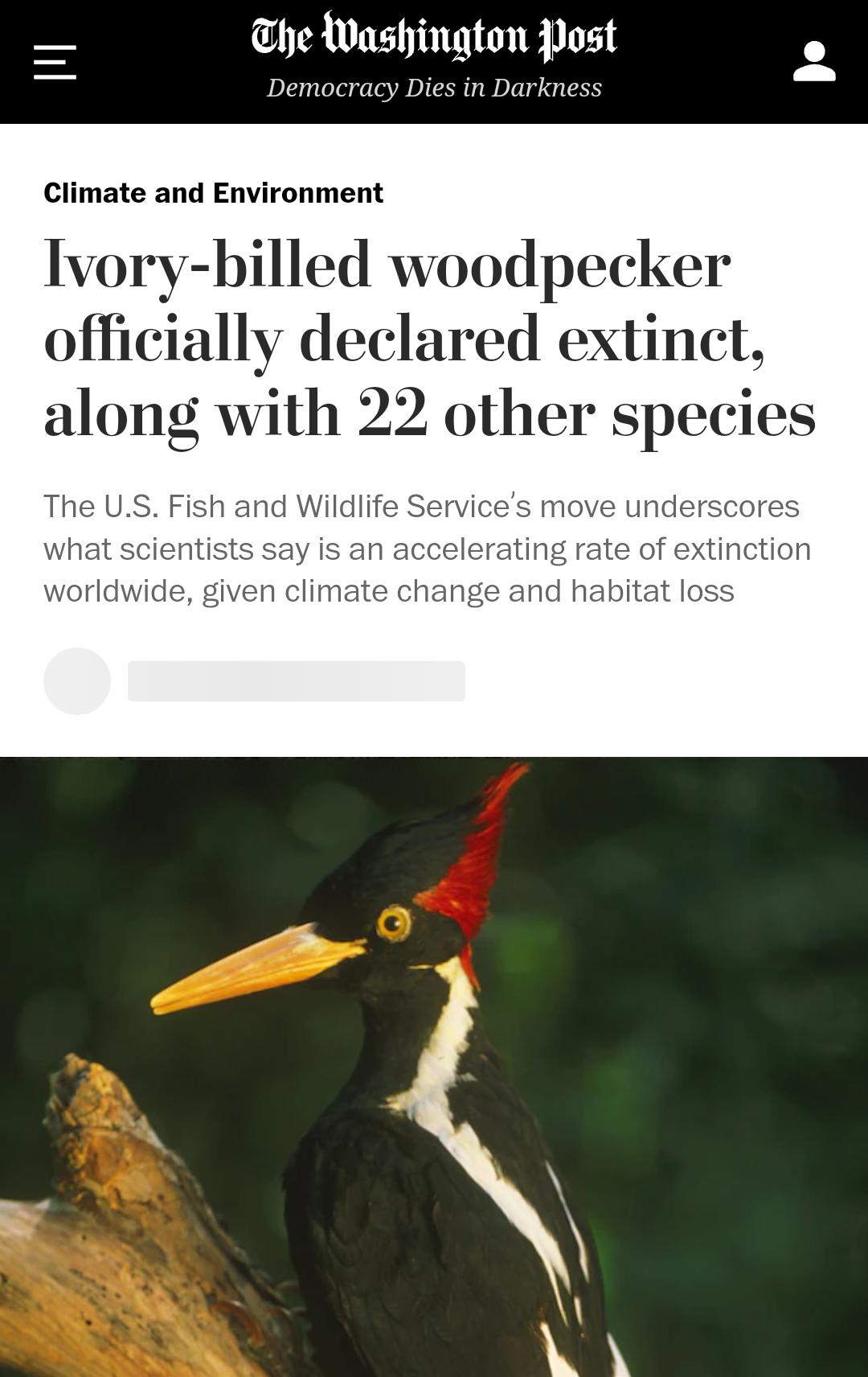 he Washington Post Democracy Dies in Darkness Climate and Environment Ivory billed woodpecker officially declared extinct along with 22 other species The US Fish and Wildlife Services move underscores what scientists say is an accelerating rate of extinction worldwide given climate change and habitat loss