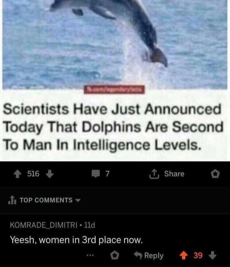 Scientists Have Just Announced Today That Dolphins Are Second To Man In Intelligence Levels RCLTIIVEN S DE_DIMITRI 11d Yeesh women in 3rd place now Reply 4 39 4