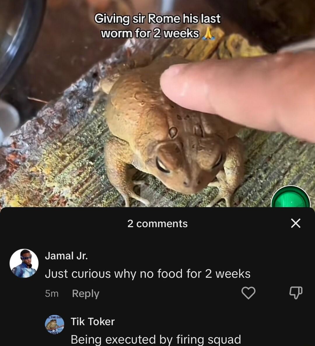 2 comments X Q Jamal Jr RIS T VERI VG R eTeTe R e TP AN 5m Reply V 5 Tik Toker Being executed by firing squad