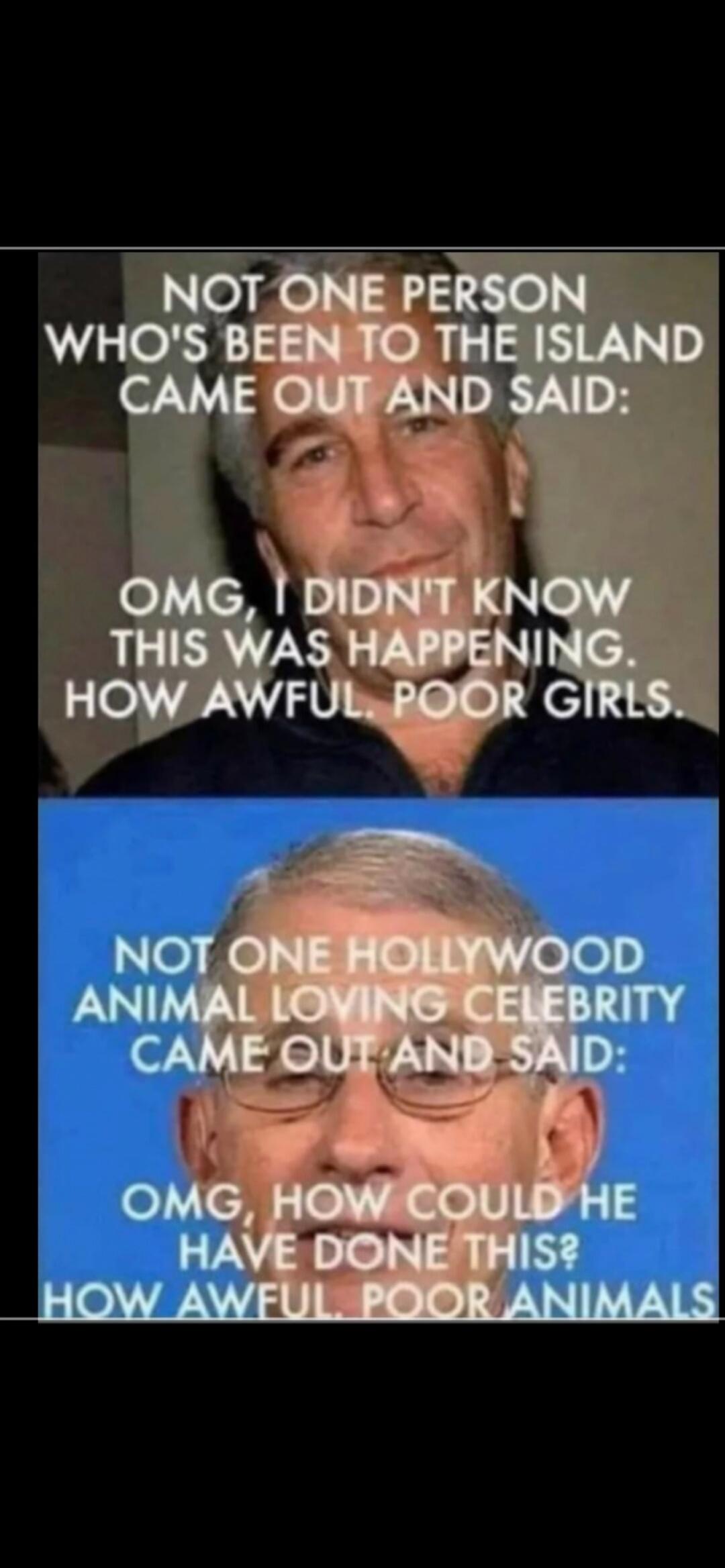 NOT ONE PERSON WHO'S BEEN TO THE ISLAND CAME OUT AND SAID: OMG, I DIDN'T KNOW THIS WAS HAPPENING. HOW AWFUL. POOR GIRLS. NOT ONE HOLLYWOOD ANIMAL LOVING CELEBRITY CAME OUT AND SAID: OMG, HOW COULD HE HAVE DONE THIS? HOW AWFUL. POOR ANIMALS.