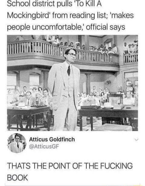 School district pulls To Kill A Mockingbird from reading list makes people uncomfortable official says A mununuma m Atticus Goldfinch i AtticusGF A THATS THE POINT OF THE FUCKING BOOK