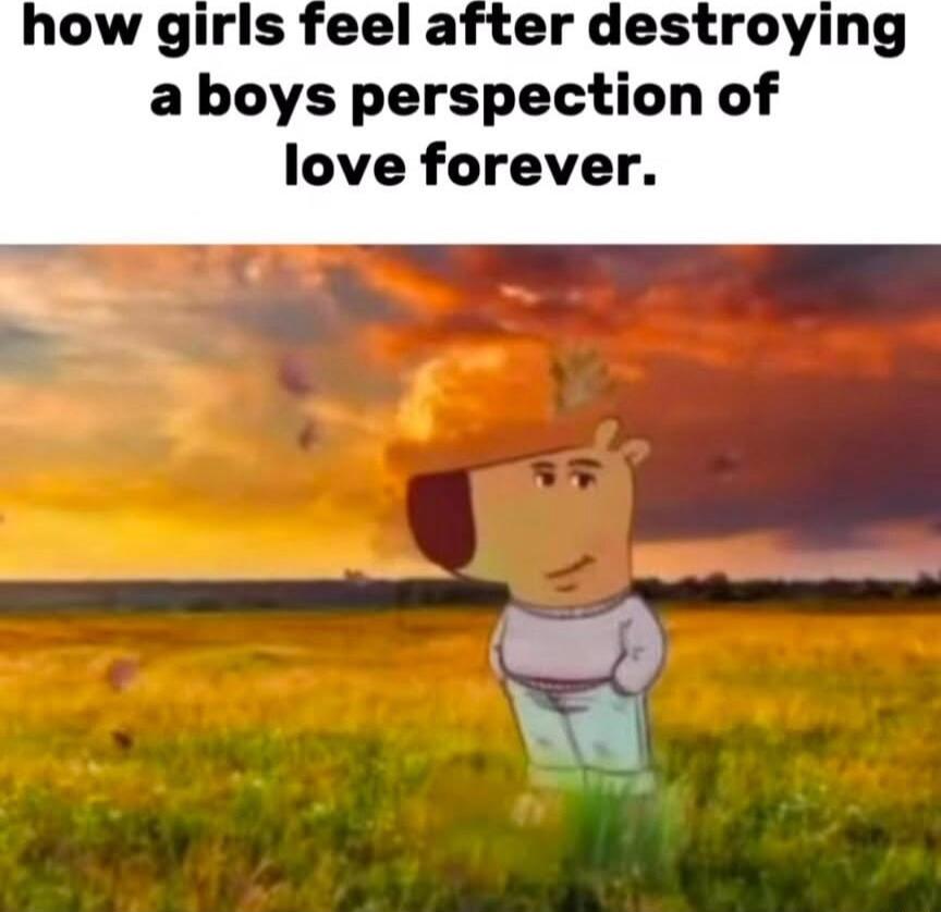 how girls feel after destroying aboys perspection of love forever