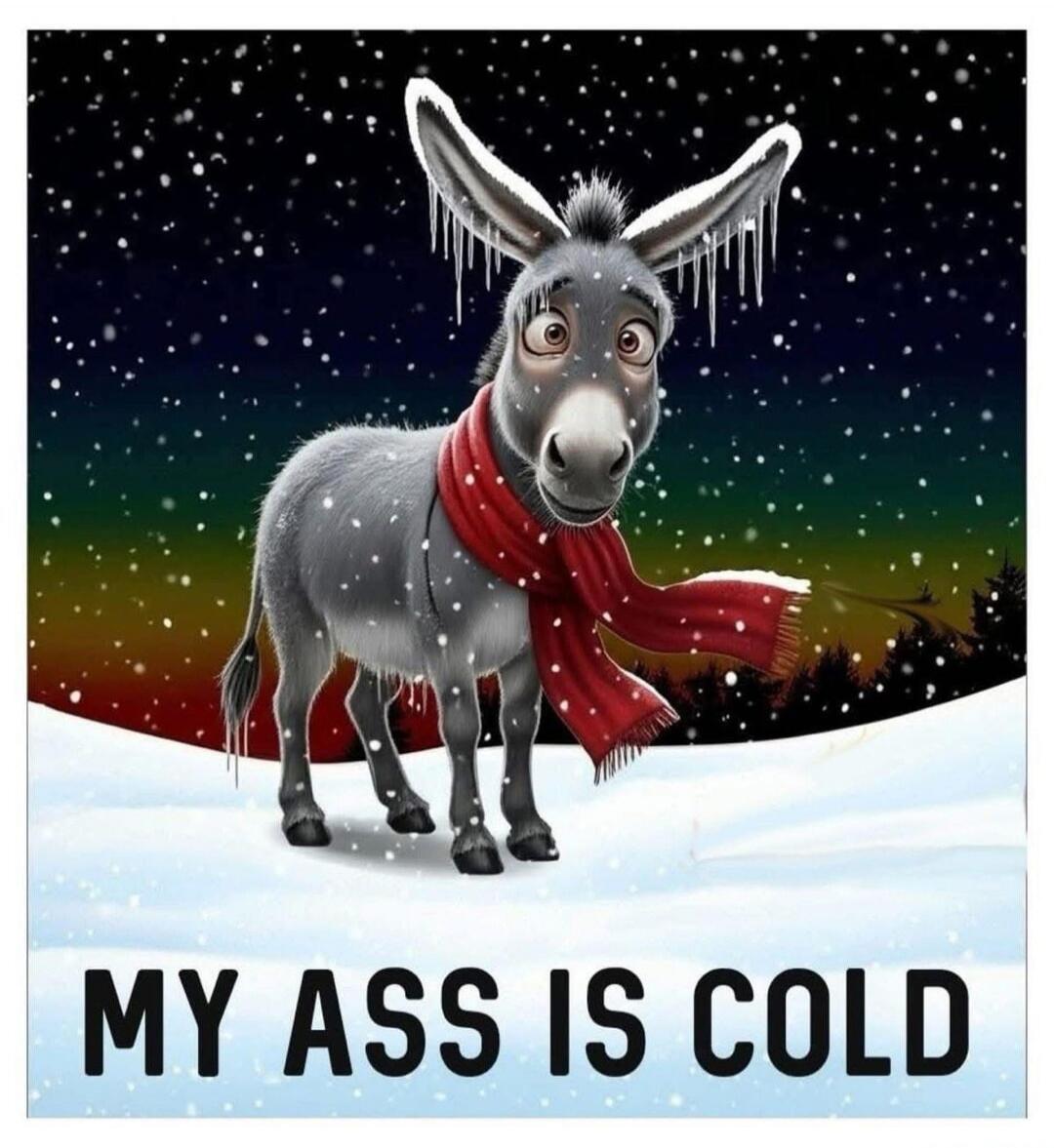 MY ASS IS COLD