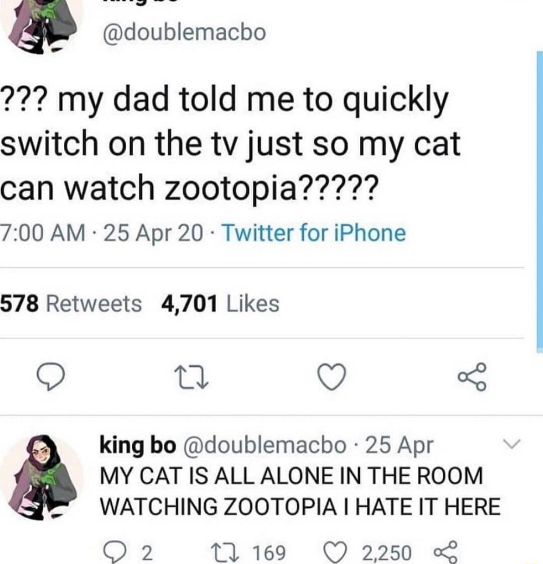 ??? my dad told me to quickly switch on the tv just so my cat can watch zootopia????? 
MY CAT IS ALL ALONE IN THE ROOM WATCHING ZOOTOPIA I HATE IT HERE