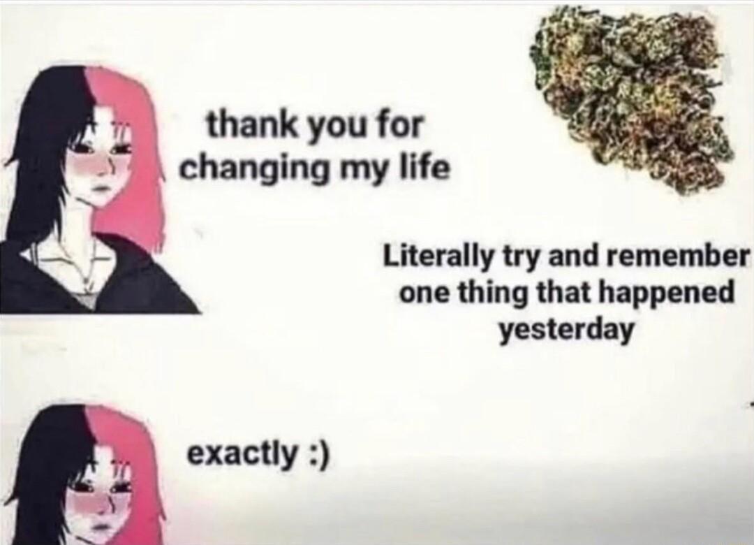 thank you for changing my life Literally try and remember one thing that happened yesterday exactly