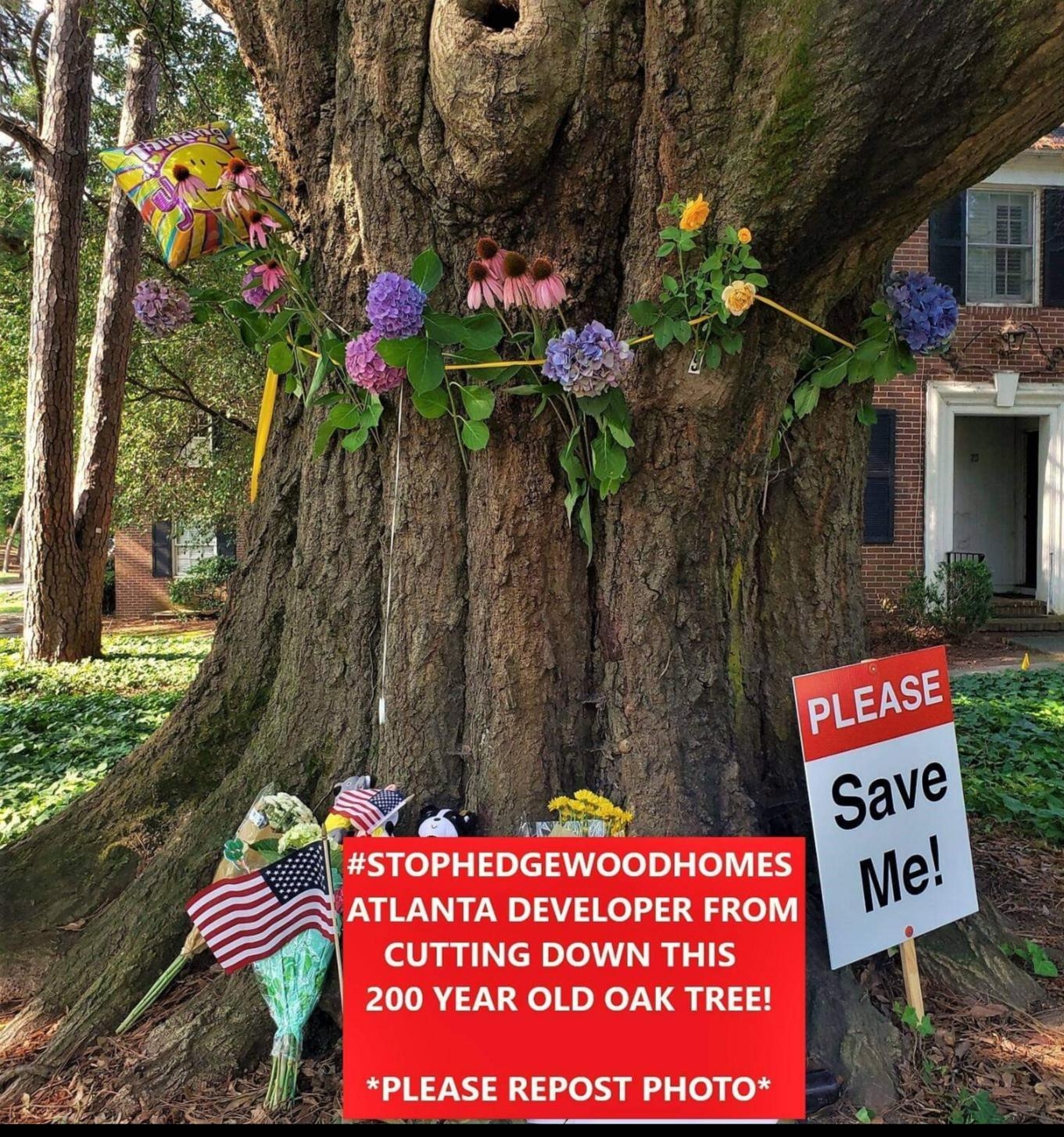 STOPHEDGEWOODHOMES ATLANTA DEVELOPER FROM CUTTING DOWN THIS 200 YEAR OLD OAK TREE _ PLEASE REPOST PHOTO