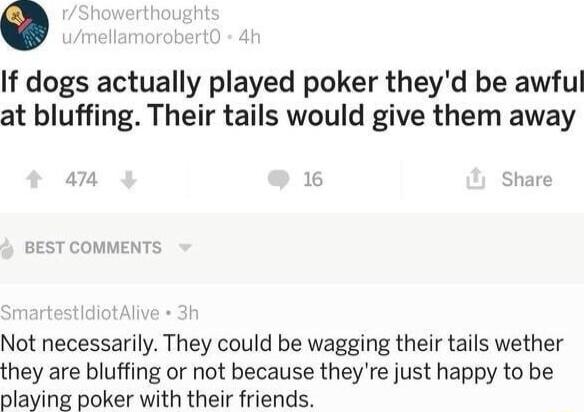 If dogs actually played poker theyd be awful at bluffing Their tails would give them away BEST COMMENT Not necessarily They could be wagging their tails wether they are bluffing or not because theyre just happy to be playing poker with their friends
