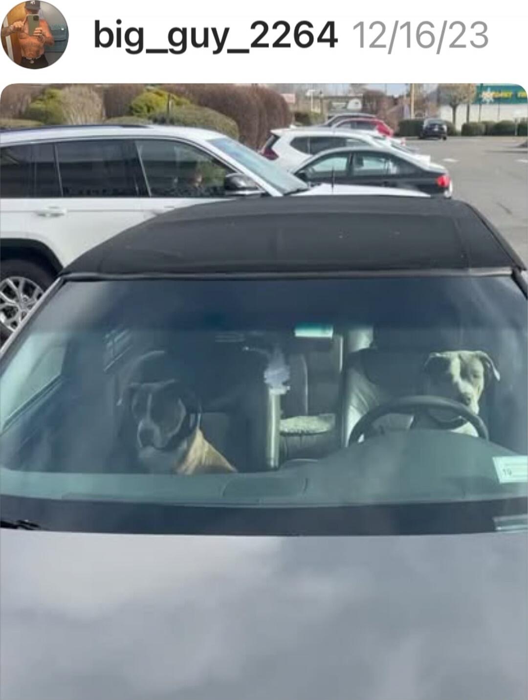 big_guy_2264 12/16/23