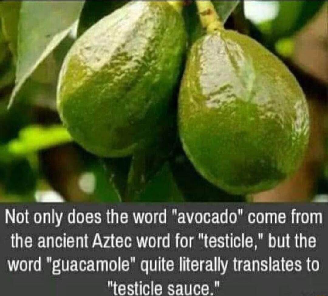 Not only does the word avocado come from the ancient Aztec word for testicle but the LGITECET GG T CTE R E G METEE testicle sauce