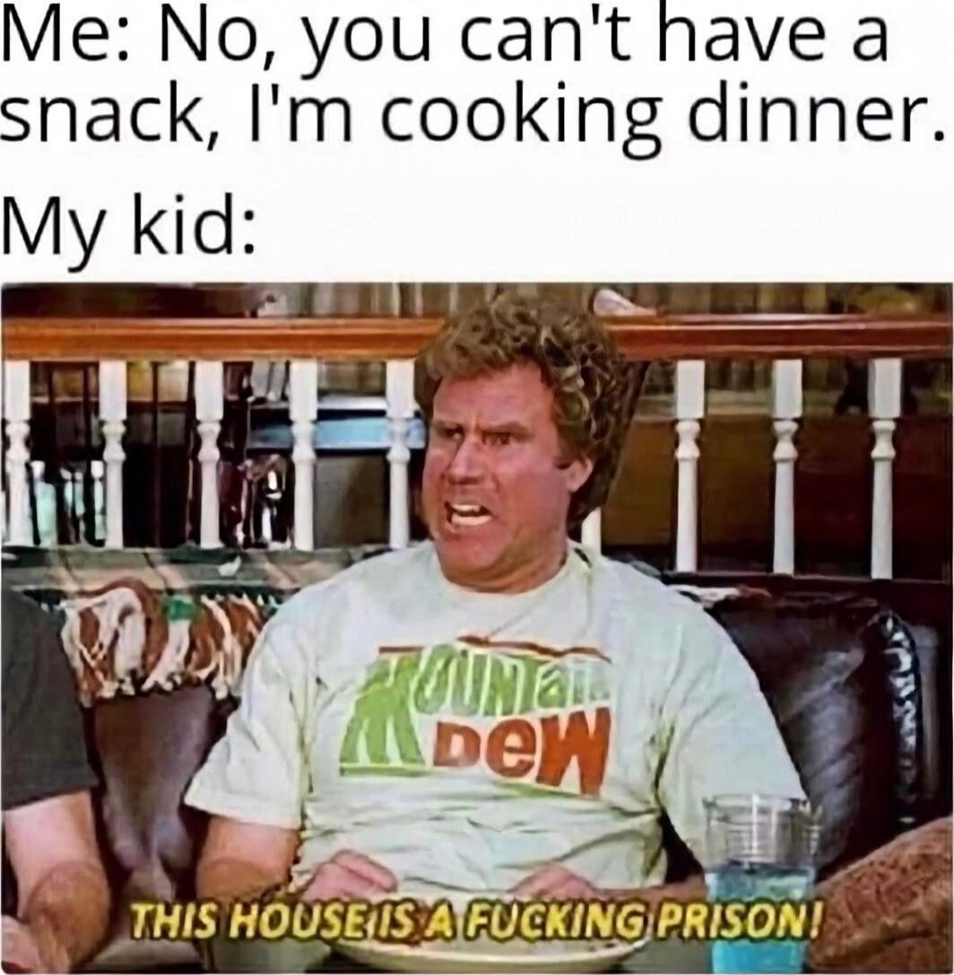 Me: No, you can't have a snack, I'm cooking dinner. My kid: THIS HOUSE IS A FUCKING PRISON!