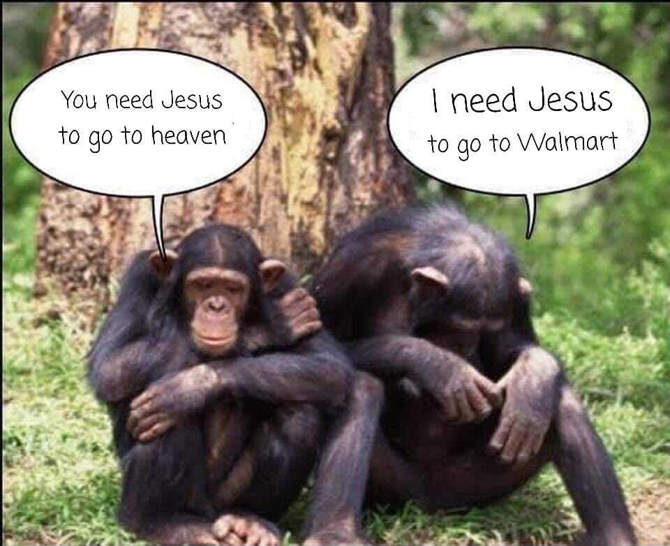 You need Jesus ilidy need Jesus 10 go fo heaven WSS go to Walmart