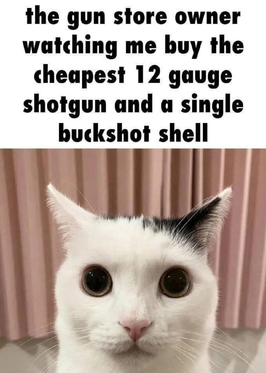 the gun store owner watching me buy the cheapest 12 gauge shotgun and a single buckshot shell