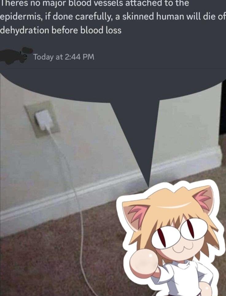 iheres no major blood vessels attached 1o the epidermis if done carefully a skinned human will die of dehydration before blood loss Today at 244 PM