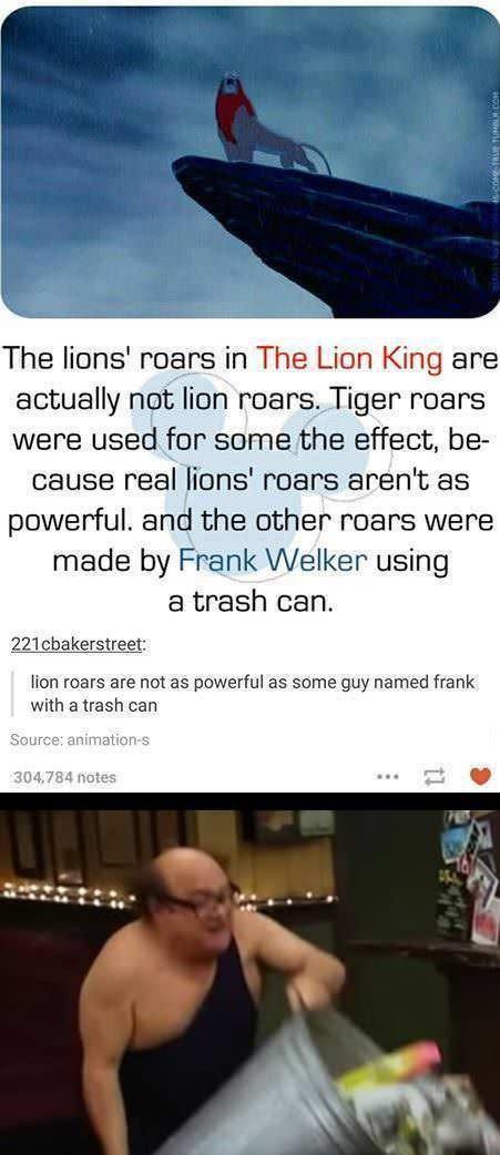 The lions roars in The Lion King are actually not lion roars Tiger roars were used for some the effect be cause real lions roars arent as powerful and the other roars were made by Frank Welker using a trash can 21cbakerstreet lion roars are not as powerful as some guy named frank with a trash can