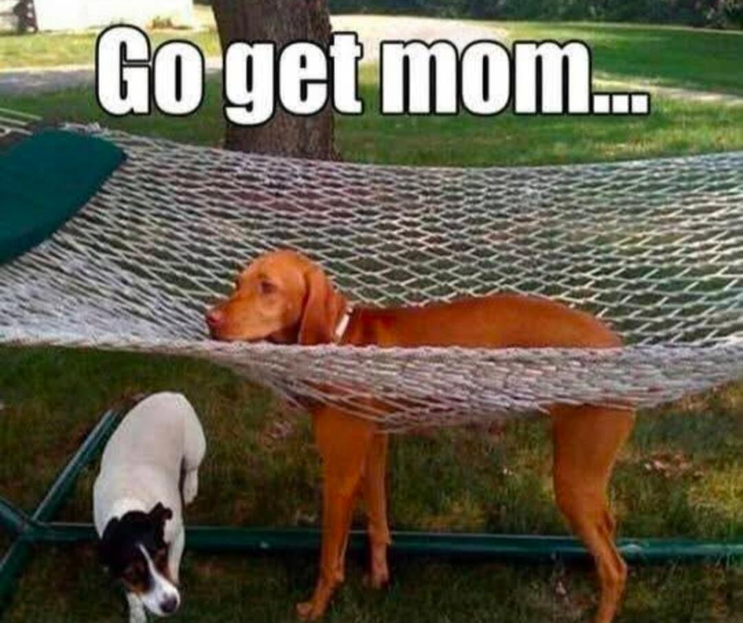 Go get mom...