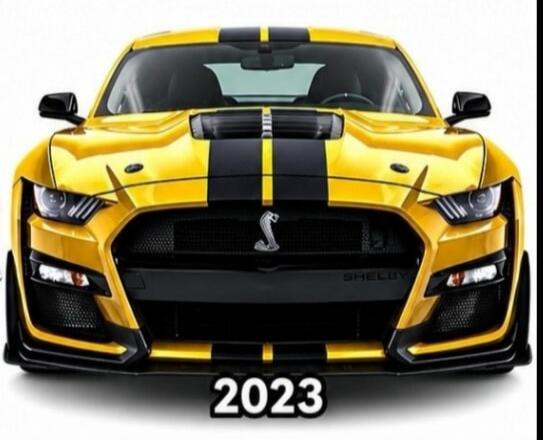 2023 Shelby