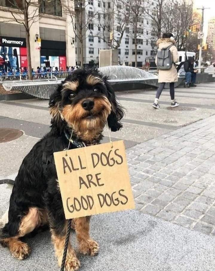 ALL DOGS ARE GOOD DOGS