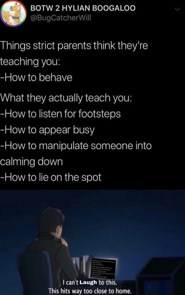 BOTW 2 HYLIAN BOOGALOO BugCatcherWill Things strict parents think theyre CElelllTe Vel How to behave What they actually teach you How to listen for footsteps How to appear busy How to manipulate someone into calming down How to lie on the spot LB cant Laugh to this This hits way too close to home
