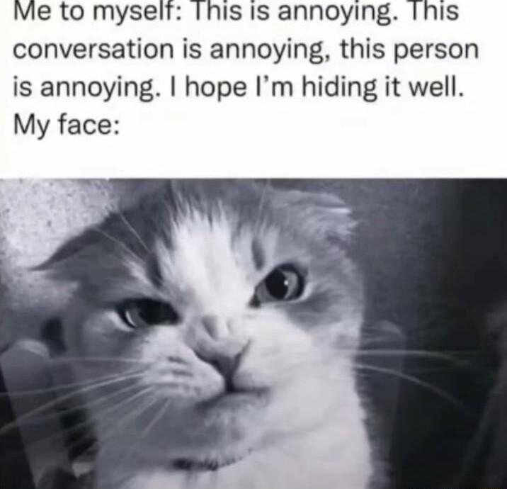Me to myselt Ihis Is annoying Ihis conversation is annoying this person is annoying hope Im hiding it well My face