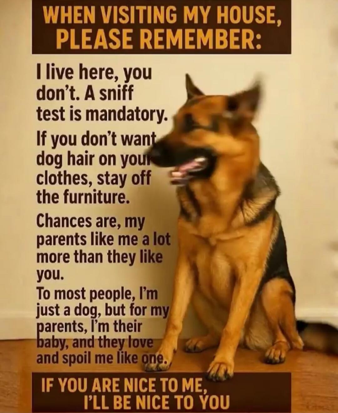 WHEN VISITING MY HOUSE, PLEASE REMEMBER: I live here, you don’t. A sniff test is mandatory. If you don’t want dog hair on your clothes, stay off the furniture. Chances are, my parents like me a lot more than they like you. To most people, I’m just a dog, but for my parents, I’m their baby, and they love and spoil me like one. IF YOU ARE NICE TO ME,